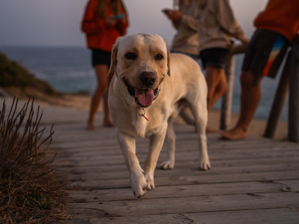 Namawa - Surf House -8